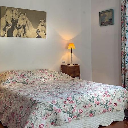 Mas De Charme En Pleine Camargue Villa Saint-Gilles  Exterior foto