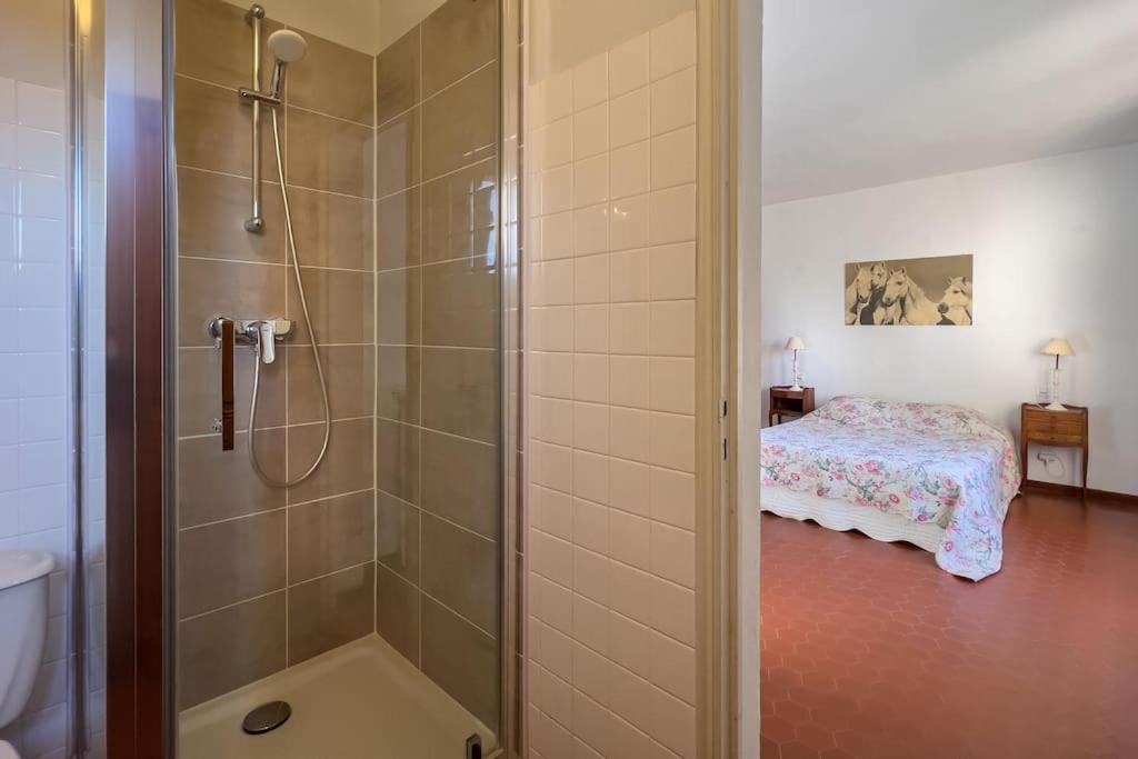 Mas De Charme En Pleine Camargue Villa Saint-Gilles  Exterior foto