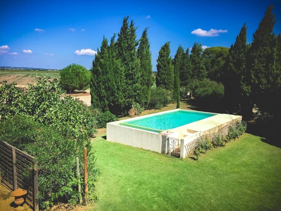Mas De Charme En Pleine Camargue Villa Saint-Gilles  Exterior foto