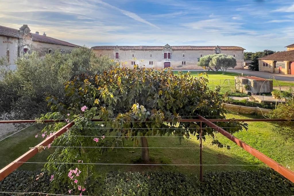 Mas De Charme En Pleine Camargue Villa Saint-Gilles  Exterior foto